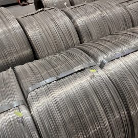 310 Stainless Steel Wire